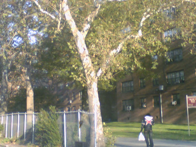 Canarsie, Brooklyn, NY